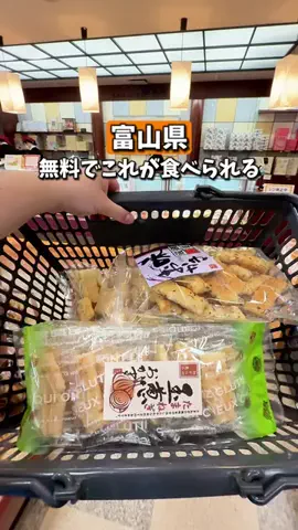 しーぱぱ|北陸・週末子連れお出かけのTikTok投稿