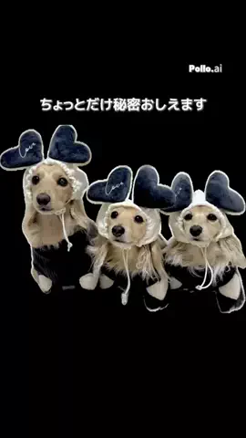 🎀もあらなまぅ🎀のTikTok投稿