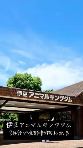 レンタルスペース＠pljのTikTok投稿