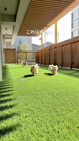 🎀もあらなまぅ🎀のTikTok投稿