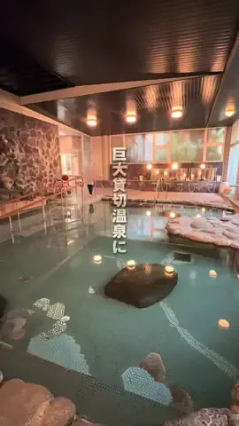 メノ｜子連れ旅行&お出かけのTikTok投稿