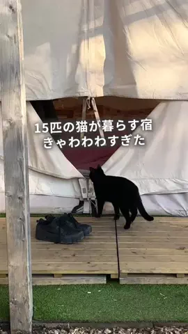 フウタ | 休日の癒し旅のTikTok投稿