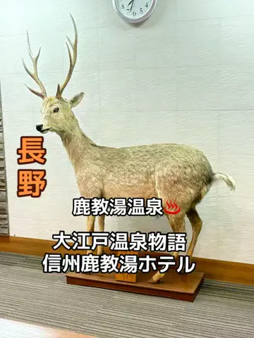 ラベちゃん🪻温泉旅♨️のTikTok投稿