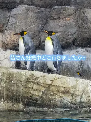 未遥のTikTok投稿