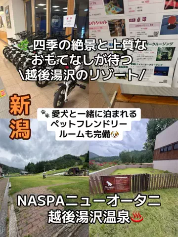 ラベちゃん🪻温泉旅♨️のTikTok投稿