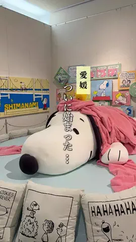 チチトコ⌇愛媛グルメ＆おでかけのTikTok投稿