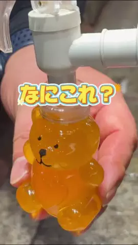 旅とごはん✈️とよたび🇰🇷ソウル好きのTikTok投稿
