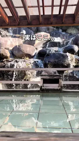 サウナコレクション【サウコレ！】のTikTok投稿