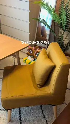 でぐのTikTok投稿