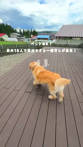 Maru【全国旅する愛知県民】のTikTok投稿