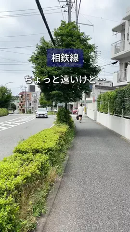 まろん | 相鉄線グルメのTikTok投稿