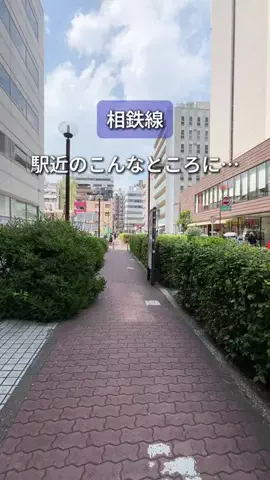 まろん | 相鉄線グルメのTikTok投稿