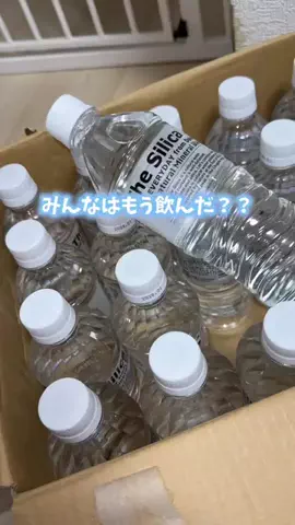 m.のTikTok投稿
