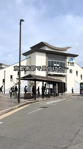 みっけ!やましろのTikTok投稿