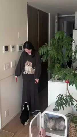 よしだななほのTikTok投稿