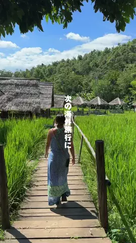 やまだ | 旅するクリエイターのTikTok投稿