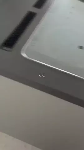 HannのTikTok投稿