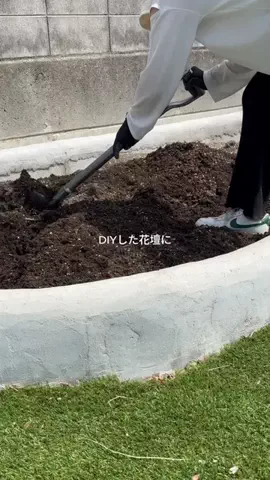 HannのTikTok投稿