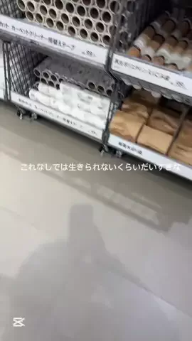 無印店員🧸のTikTok投稿