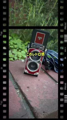 いちごのTikTok投稿
