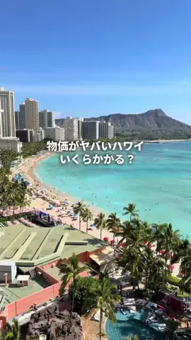 トンちゃん🐷ひとり女子旅のTikTok投稿