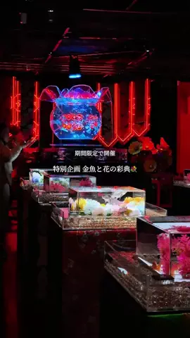 がく｜大人な東京デートのTikTok投稿