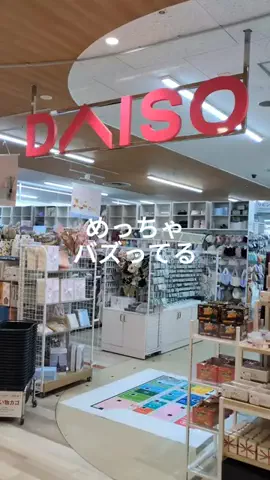 北海道PDRN  凛のTikTok投稿