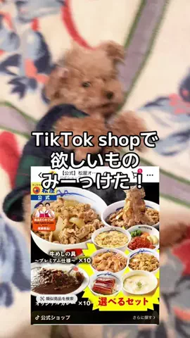 モモンガ様と犬🐁🐕🌾のTikTok投稿