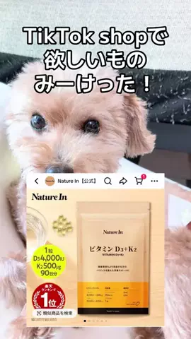モモンガ様と犬🐁🐕🌾のTikTok投稿