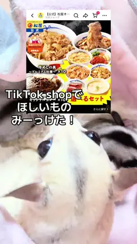 モモンガ様と犬🐁🐕🌾のTikTok投稿