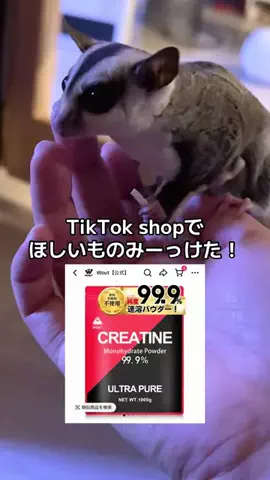 モモンガ様と犬🐁🐕🌾のTikTok投稿