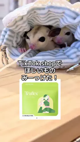 モモンガ様と犬🐁🐕🌾のTikTok投稿