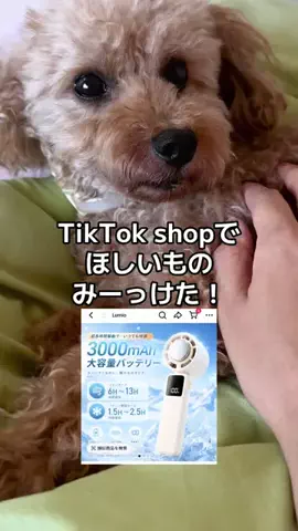 モモンガ様と犬🐁🐕🌾のTikTok投稿