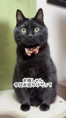 きんむぎのTikTok投稿