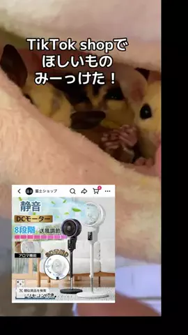 モモンガ様と犬🐁🐕🌾のTikTok投稿