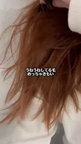 ののか💄美容オタクのTikTok投稿