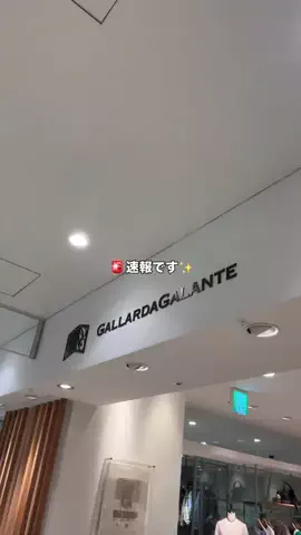 モリのTikTok投稿