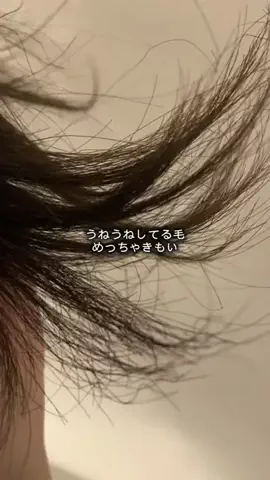 ののか💄美容オタクのTikTok PR投稿：髪の毛うねる人に使って欲しいシャントリ見つけた🥹✨ …