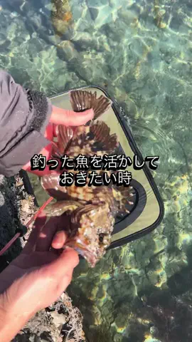 はまなび｜AkitoのTikTok投稿