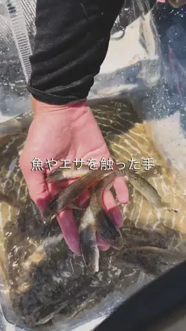 はまなび｜AkitoのTikTok投稿