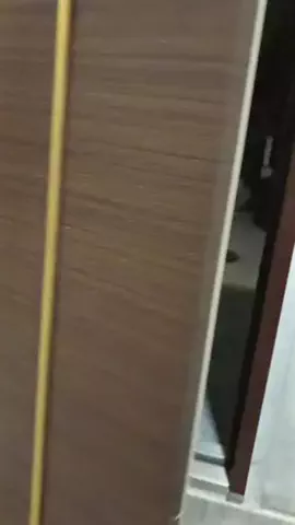 まる🐯🐾のTikTok投稿