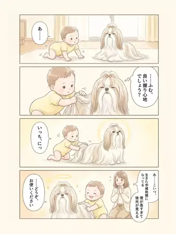 都内のチワワのTikTok投稿