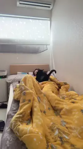 しろいさくぴさん🤍のTikTok投稿