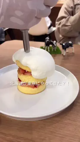 わかな⇢お出かけVlogのTikTok投稿