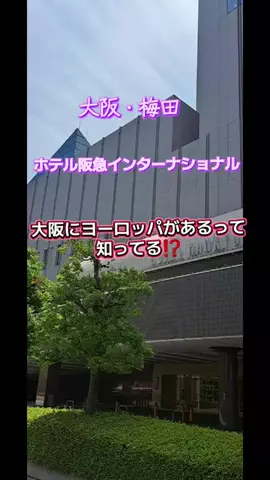 高齢乙女のTikTok投稿