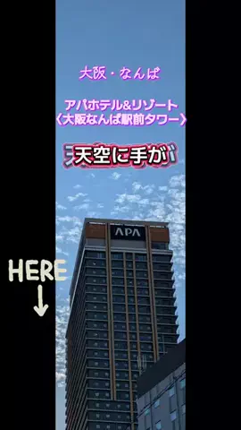 高齢乙女のTikTok投稿