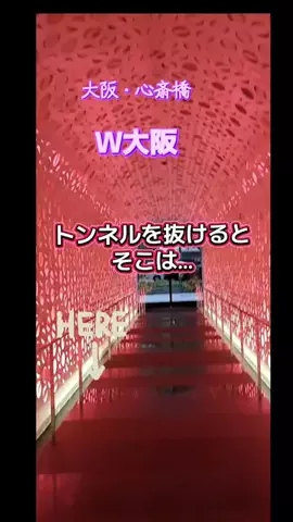 高齢乙女のTikTok投稿