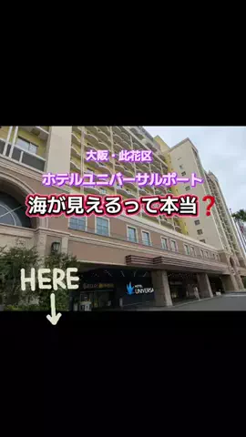 高齢乙女のTikTok投稿