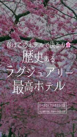 あいうえおのTikTok投稿