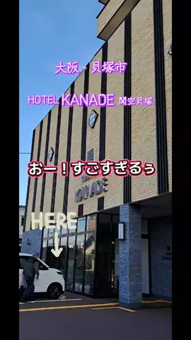 高齢乙女のTikTok投稿